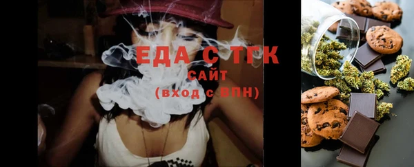 ECSTASY Алзамай