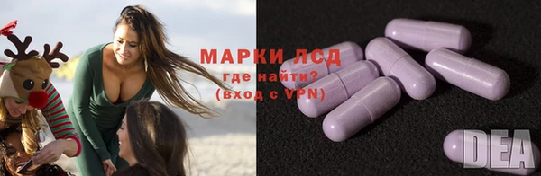 ECSTASY Алзамай
