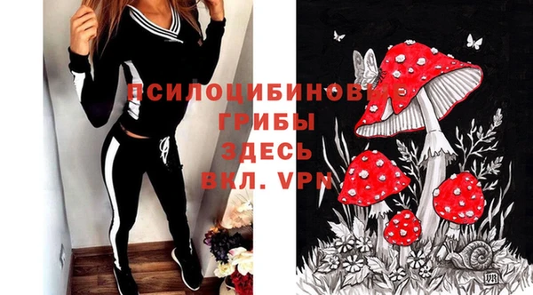 ECSTASY Алзамай