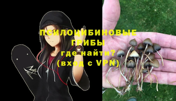крисы Алексеевка